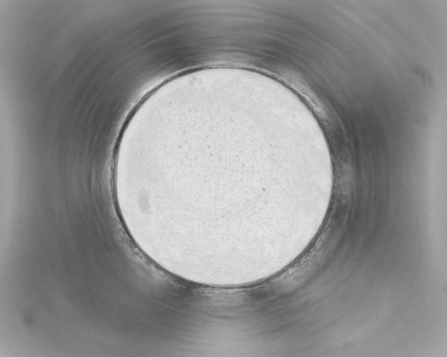 X0000115230856200911271821