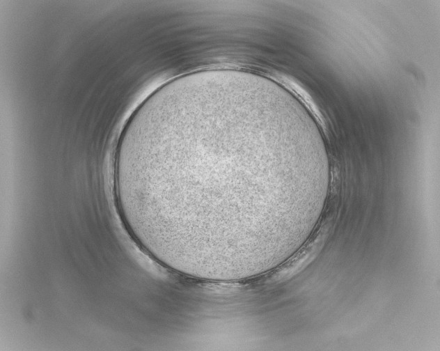 X0000115230859200911271821