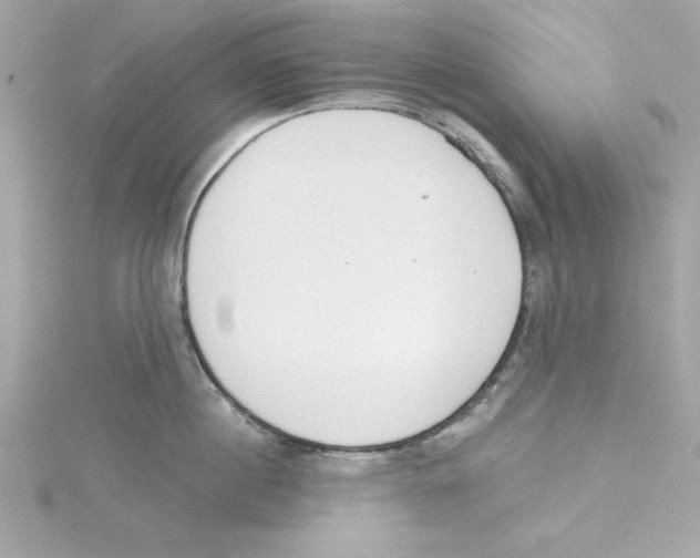 X0000115230860200911271821