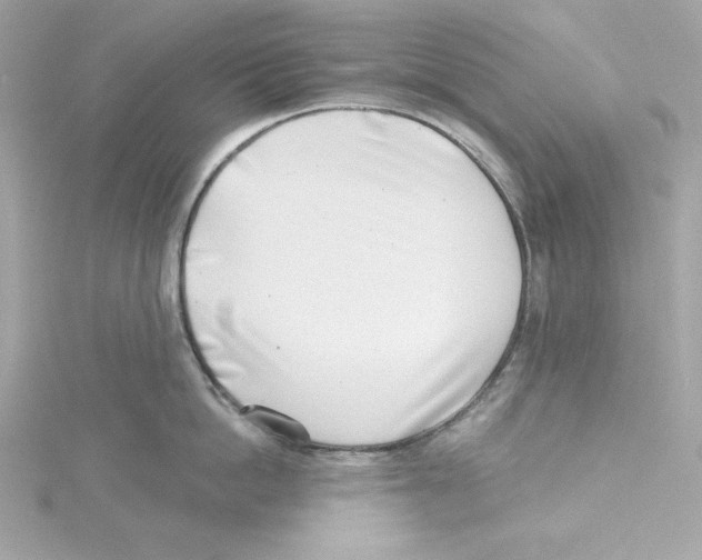 X0000115230862200911271821