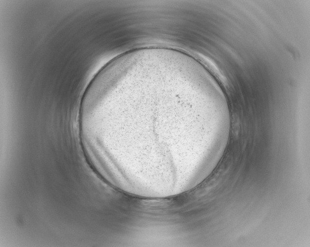 X0000115230863200911271821