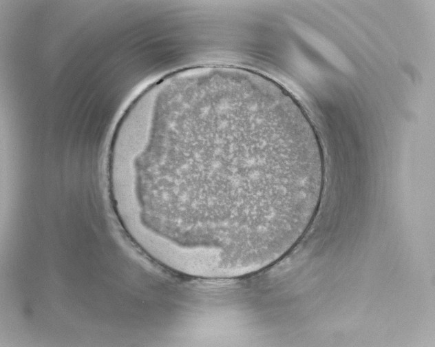 X0000115230864200911271821