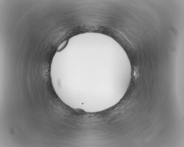 X0000115230867200911271820