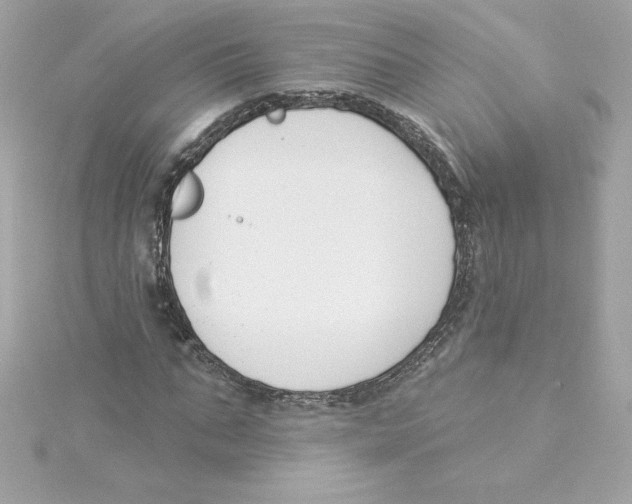 X0000115230871200911271820