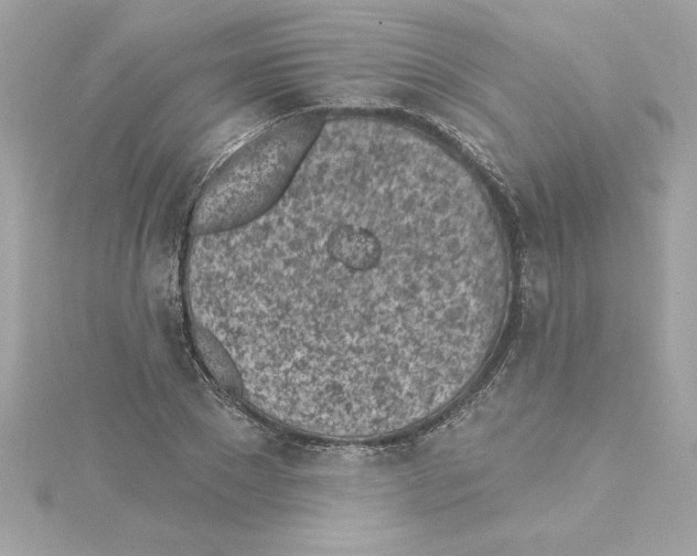 X0000115230881200911271820