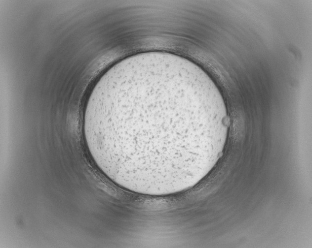 X0000115230882200911271820