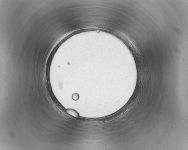 X0000115230884200911271820