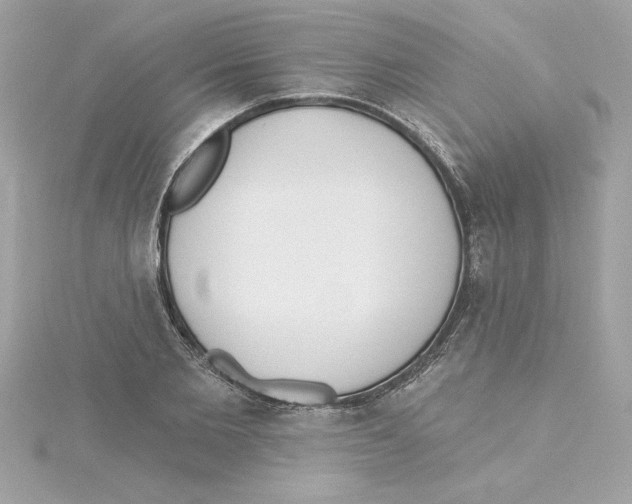 X0000115230885200911271820