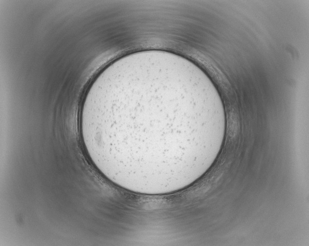 X0000115230886200911271820