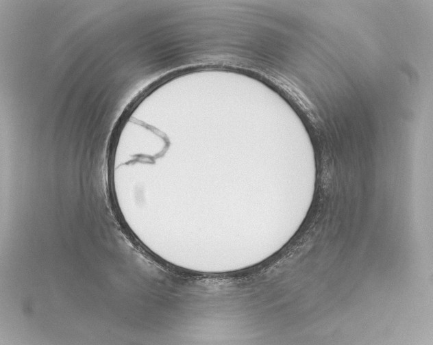 X0000115230888200911271820