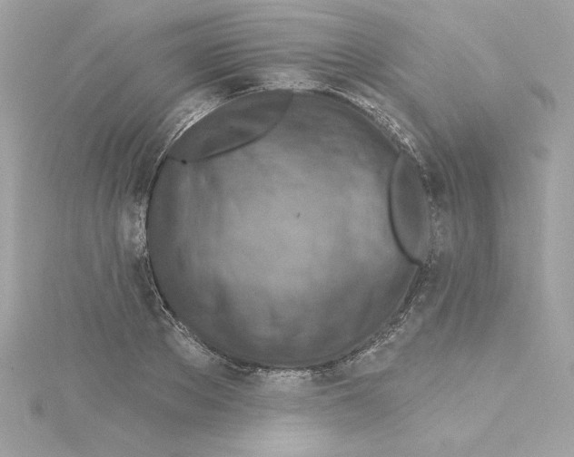 X0000115230889200911271820