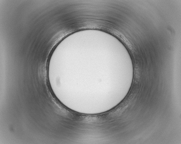 X0000115230890200911271820