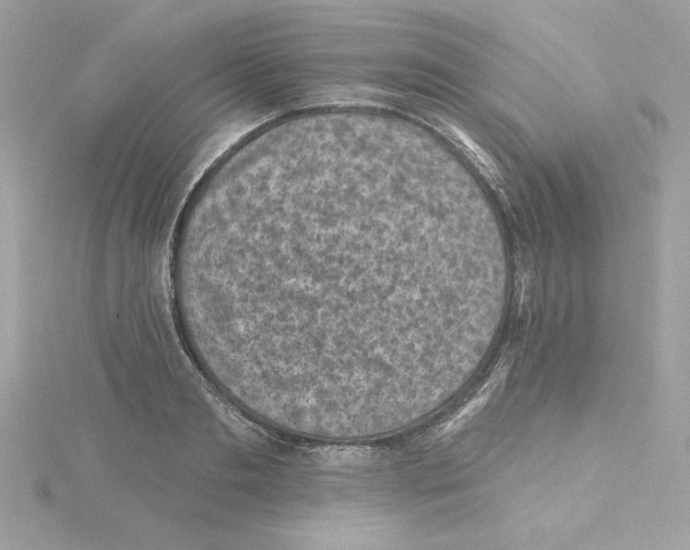 X0000115230893200911271820