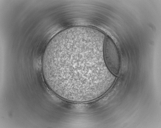 X0000115230897200911271820