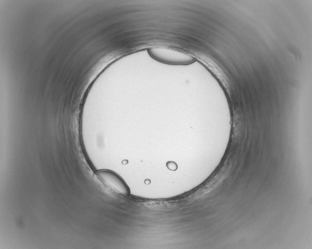 X0000115230906200911271820