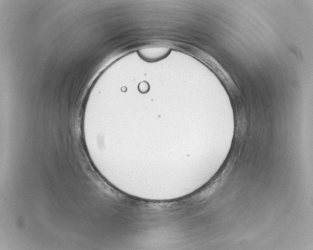 X0000115230908200911271820