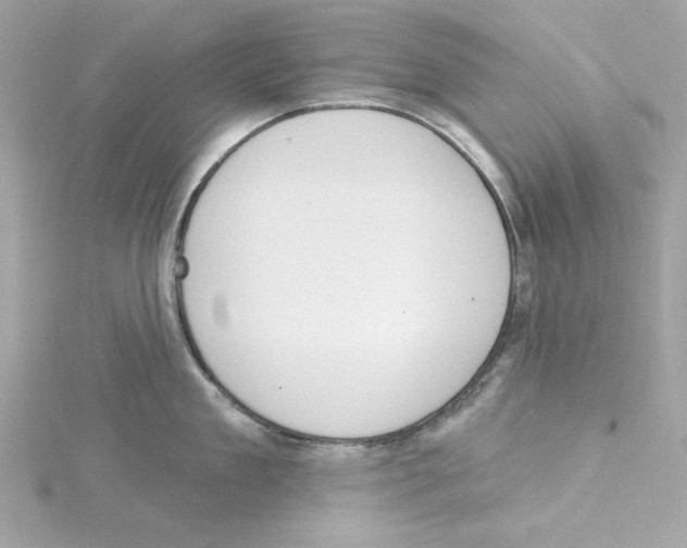 X0000115230909200911271820