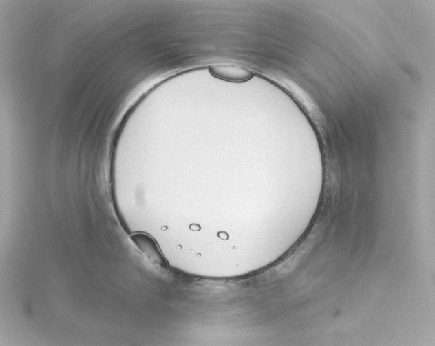 X0000115230910200911271820