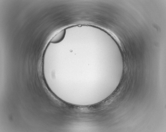 X0000115230911200911271820