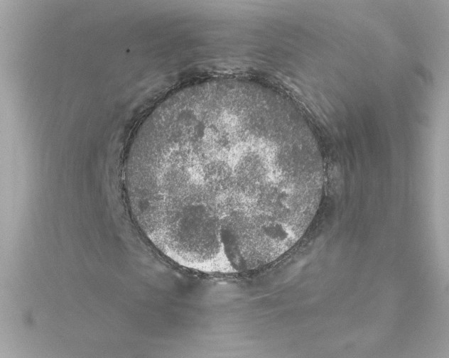 X0000115230913200911271819