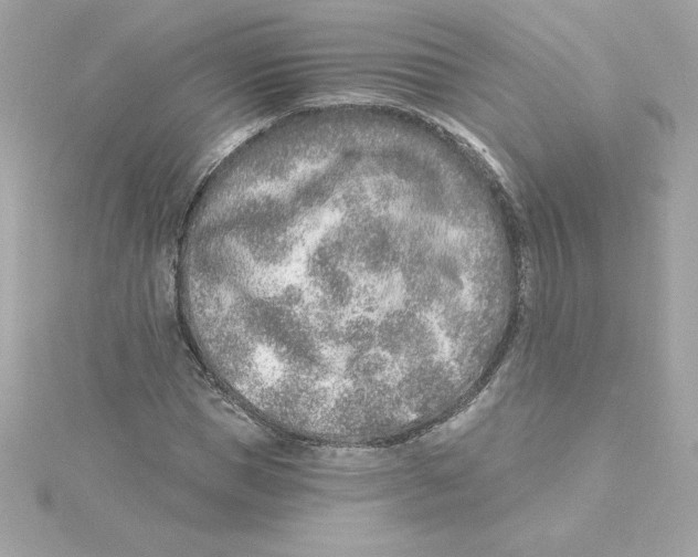 X0000115230921200911271819