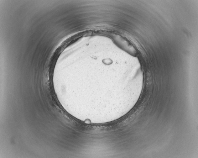 X0000115230923200911271819