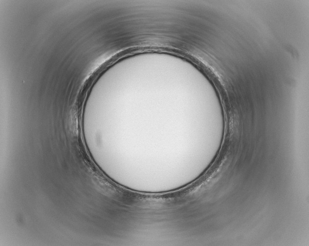 X0000115230925200911271819