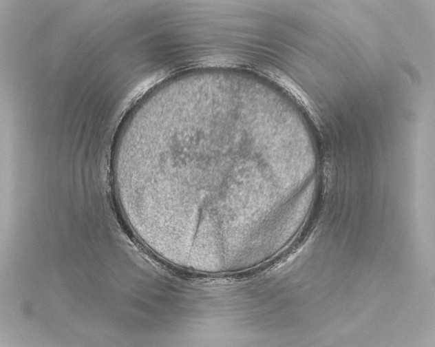 X0000115230930200911271819