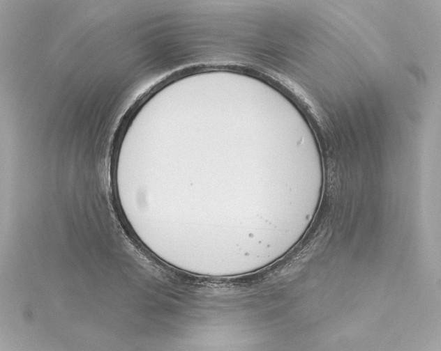 X0000115230935200911271819