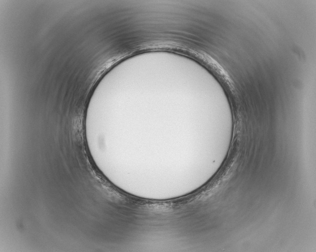 X0000115230937200911271819