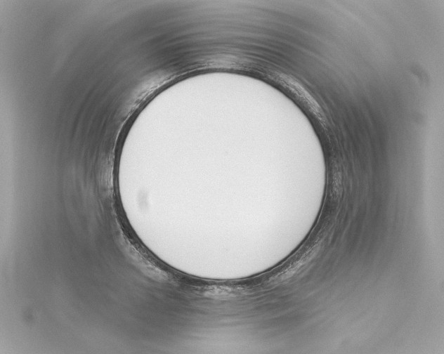 X0000115230938200911271819