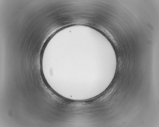 X0000115230939200911271819