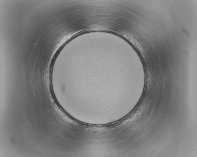 X0000115230941200911271819