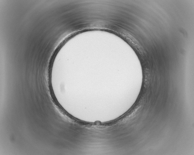 X0000115230942200911271819