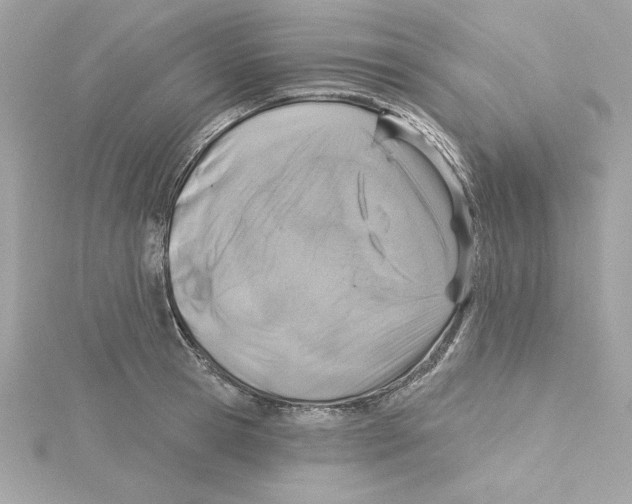 X0000115230945200911271819