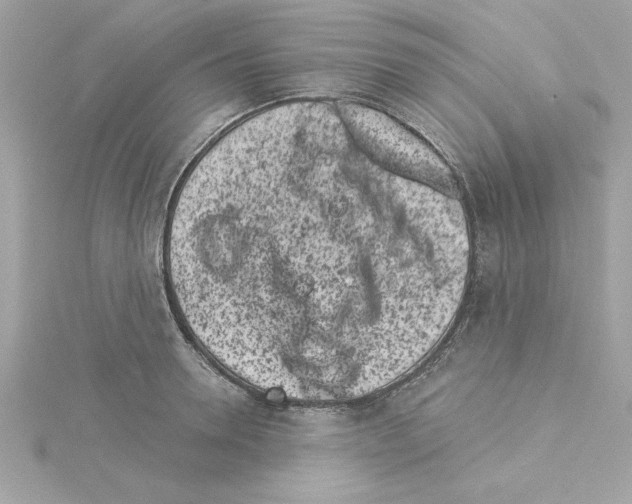 X0000115230946200911271819