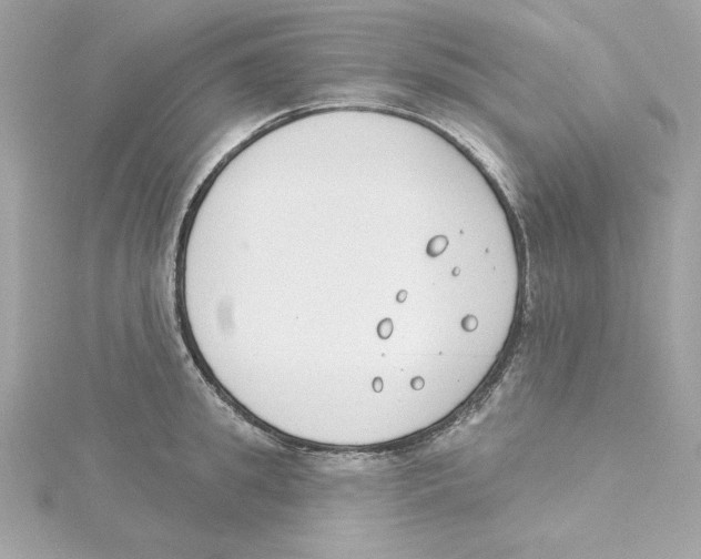 X0000115230949200911271819