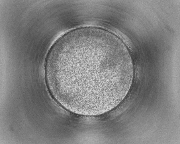 X0000115230950200911271819