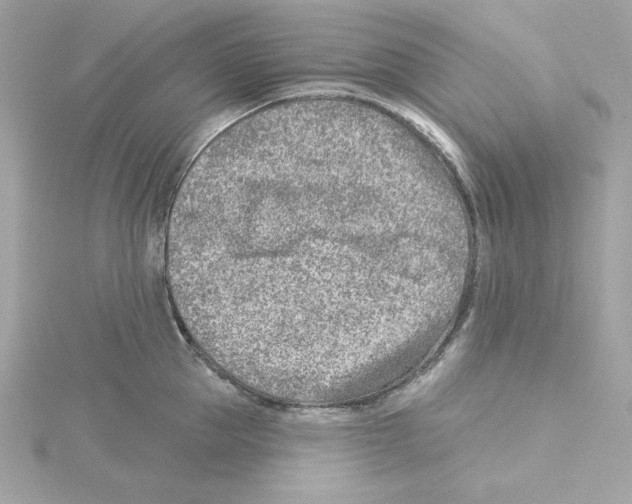 X0000115230953200911271819