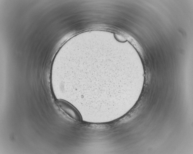 X0000115230954200911271819