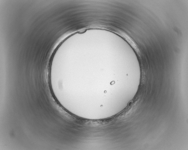 X0000115230955200911271819