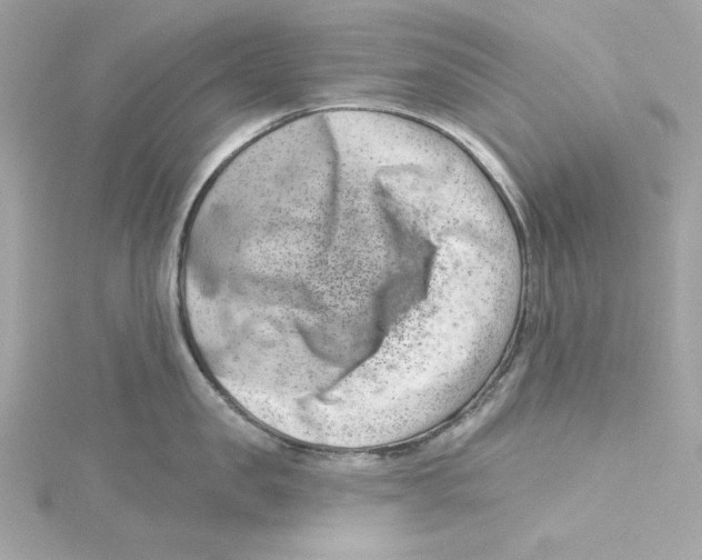 X0000115230957200911271819