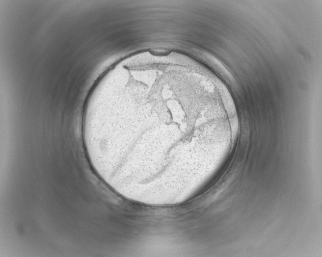 X0000115230958200911271819