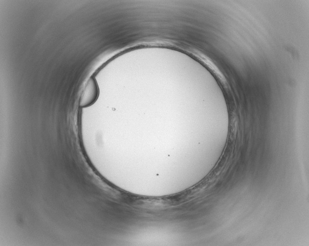 X0000115230959200911271819