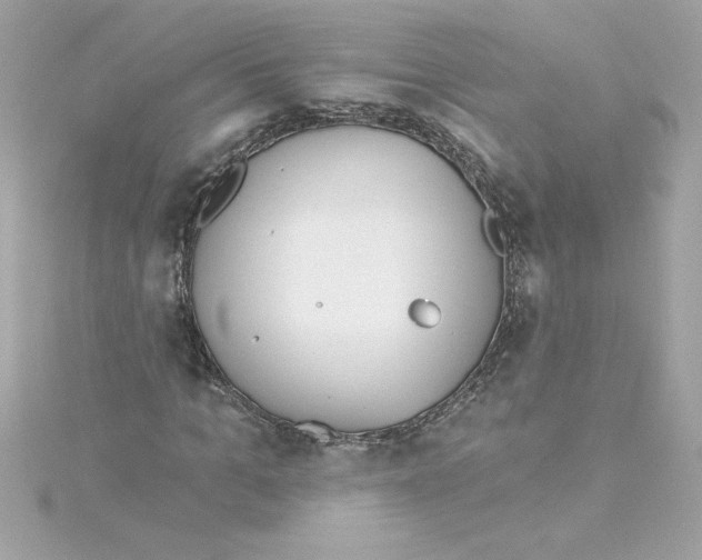 X0000115230965200911271819