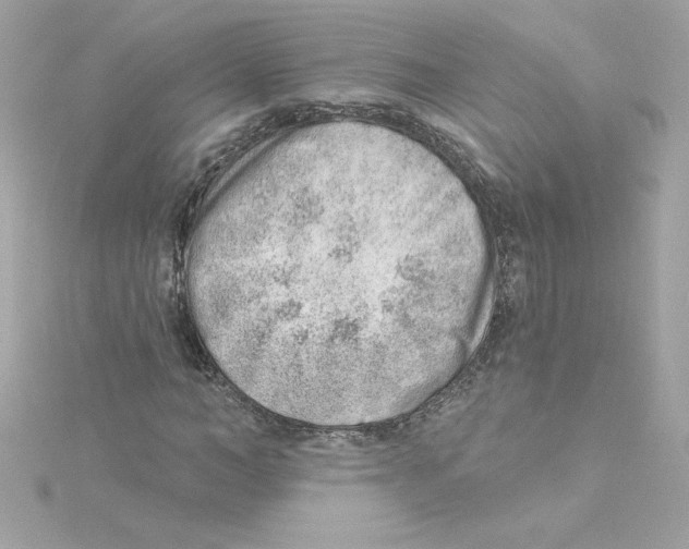 X0000115230966200911271819