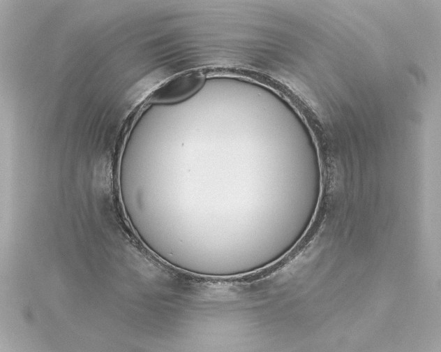 X0000115230969200911271819