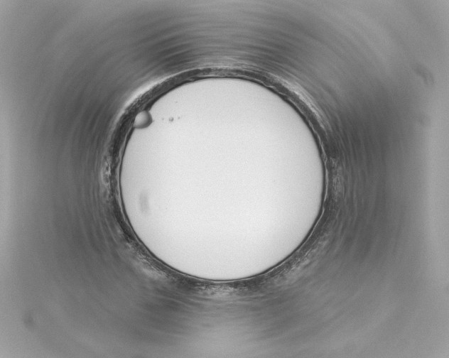 X0000115230971200911271819