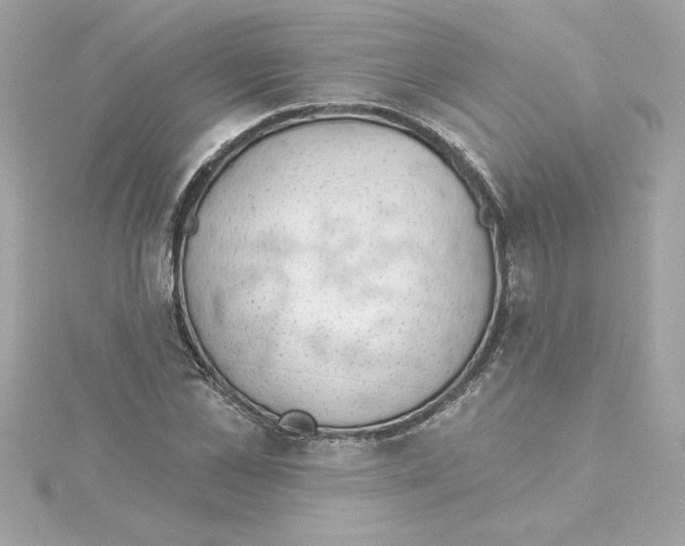 X0000115230973200911271819