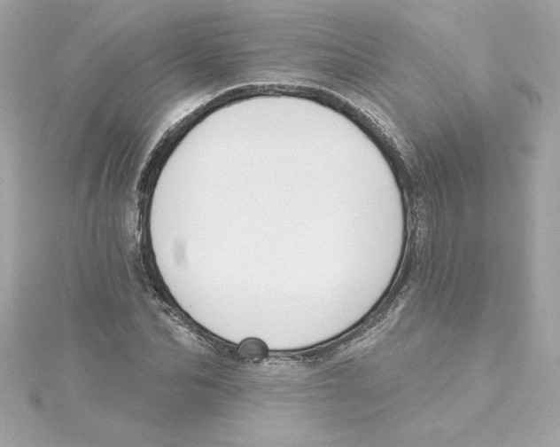 X0000115230974200911271819